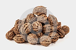 Slide of natural hazelnuts in a shell on a light white background