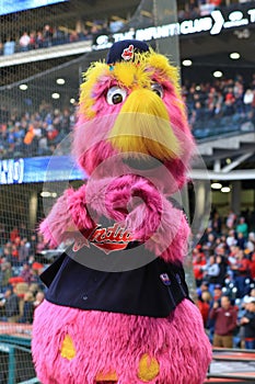 Slider, Indians fuzzy and fuchsia-colored mascot