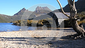 Slider shot of the boat shed and the shore of dove lake framed by a gum tree
