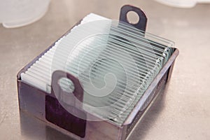 Slides with paraffin embedded tissue samples into a slide staining rack. Fluorescent Immunohistochemistry staining of paraffin- photo