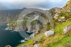 Slieve League, Irelands highest sea cliffs, located in south west Donegal along this magnificent costal driving route. One of the