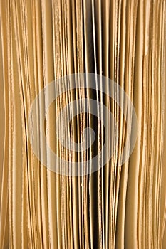 Slightly open book pages closeup background sepia