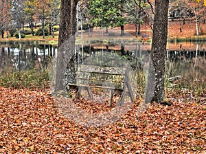 An old bench by a river