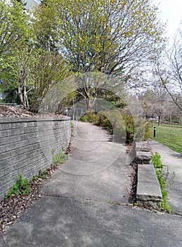 Slightly unkempt garden path and wall dried leaves stone