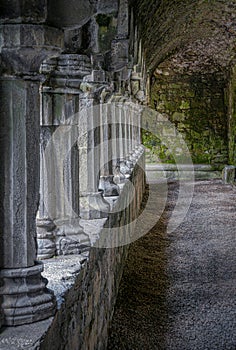 Sligo Abbey, perspective of columns