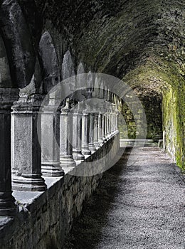 Sligo Abbey, Sligo, Republic of Ireland