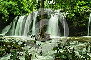 Silk Waterfall with leaves, trees