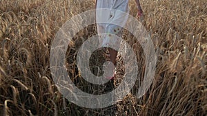 Slim female legs walking in ripe wheat field