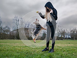 Slim teenager girl having fun with small Yorkshire terrier in a park