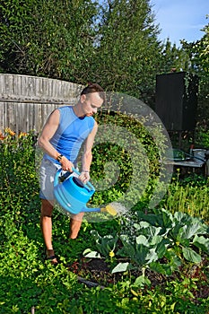 A slim young man watering the cabbage in the garden on the plot