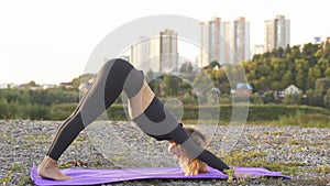 Slim young woman do dog pose, practice yoga on fresh air outdoors.