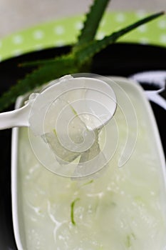 Details of the juice taken from the leaves of Aloe vera photo