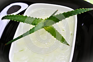 The freshness of the juice extracted from the Aloe vera leaves in the bowl photo