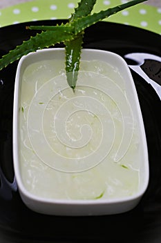 The freshness of Aloe vera leaf juice photo