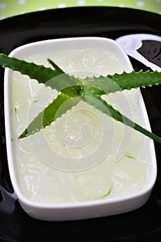 Aloe vera and its juice taken from the leaves in the bowl photo