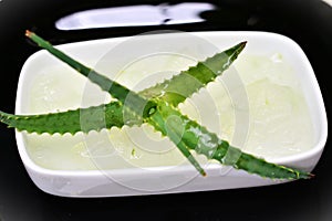 The aloe vera juice taken from the leaves in the bowl photo