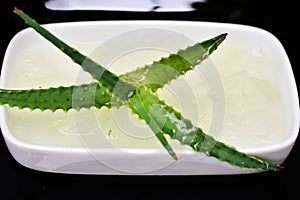Bowl with juice taken from Aloe vera leaves photo