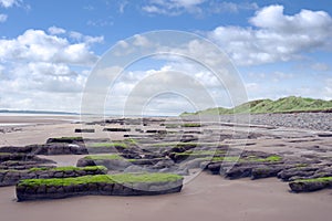 Slimey green mud banks at Beal beach