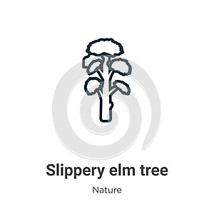 Slippery elm tree outline vector icon. Thin line black slippery elm tree icon, flat vector simple element illustration from