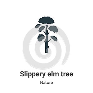 Slippery elm tree vector icon on white background. Flat vector slippery elm tree icon symbol sign from modern nature collection