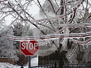slippery icy road with STOP sign in red and white. thick ice covered tree branches. winter scene