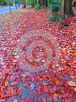 Scivoloso marciapiede durante autunno 