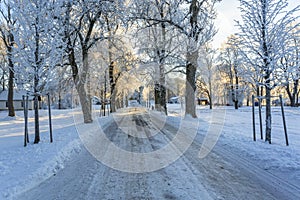 Slippery winter road through a tree avenue against a farm