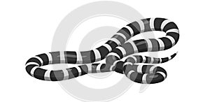 Slither Banded Sea Krait Snake Icon photo