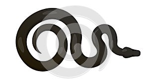 Slither Black Python Snake Top View Vector Icon photo