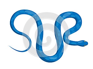 Slither Blue Python Snake Top View Vector Icon