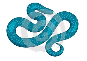 Slither Blue Python Snake Top View Vector Icon photo