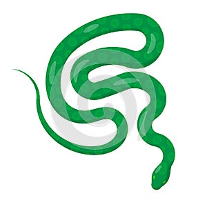 Slither Green Python Snake Top View Vector Icon photo