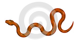 Slither Red Python Snake Top View Vector Icon