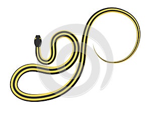 Slither Ribbon or Garter Snake Vector Icon