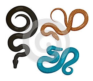 Slither Snakes Top View Vector Icons Set