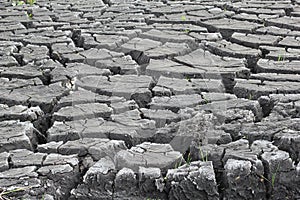 Slits in a draught soil, caused by el Nino