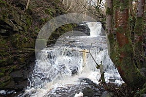 Slitt Woods waterfall, Westgate in County Durham