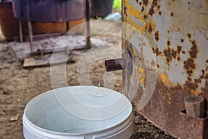 Slivovitz or Rakija plum brandy dripping into the bucket