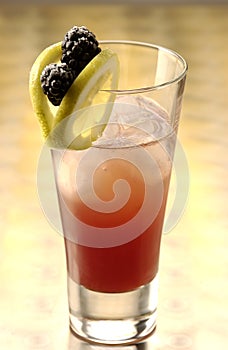 Sloe Gin Fizz photo