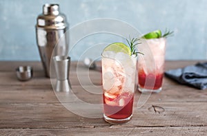 Sloe Gin Fizz Cocktail