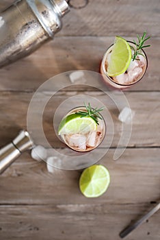 Sloe Gin Fizz Cocktail