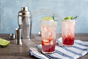 Sloe Gin Fizz Cocktail