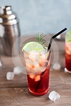 Sloe Gin Fizz Cocktail