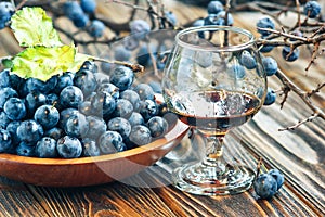 Sloe gin. Glass of blackthorn homemade light sweet reddish-brown liquid. Sloe-flavoured liqueur or wine