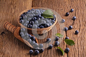 Sloes