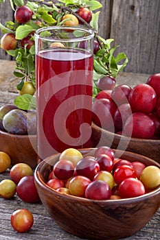 Sloes and plums with juice