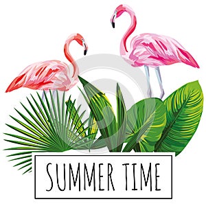 Slogan summer time tropical leaves flamingo white background photo