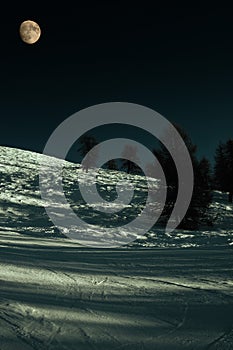 Slope in Moonlight