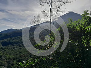 Slope of Mount Arjuno