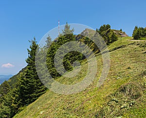 Slope of Mt. Rigi in Switzerland in summer